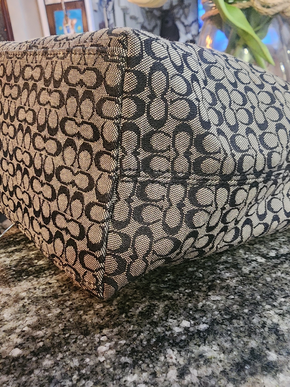 Coach Soho Mini Signature Canvas  Bag - Picture 4 of 12